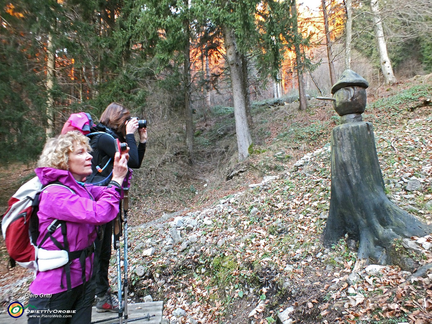 91 Nel Bosco degli Gnomi...Pinocchio.JPG